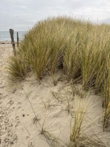 Oh, du schöne Ostsee!