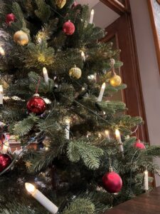 Echt oder doch künstlich?